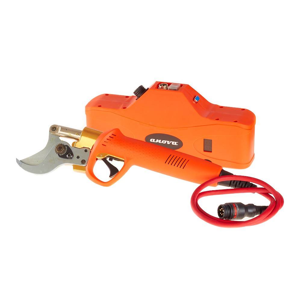 Tisores Poda Bateria 550W | Tisores a Calvet Animals i Plantes