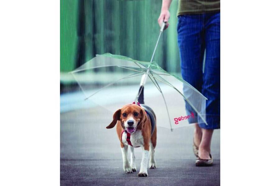 Paraigües Gos/Gat 45 Cm | Gos