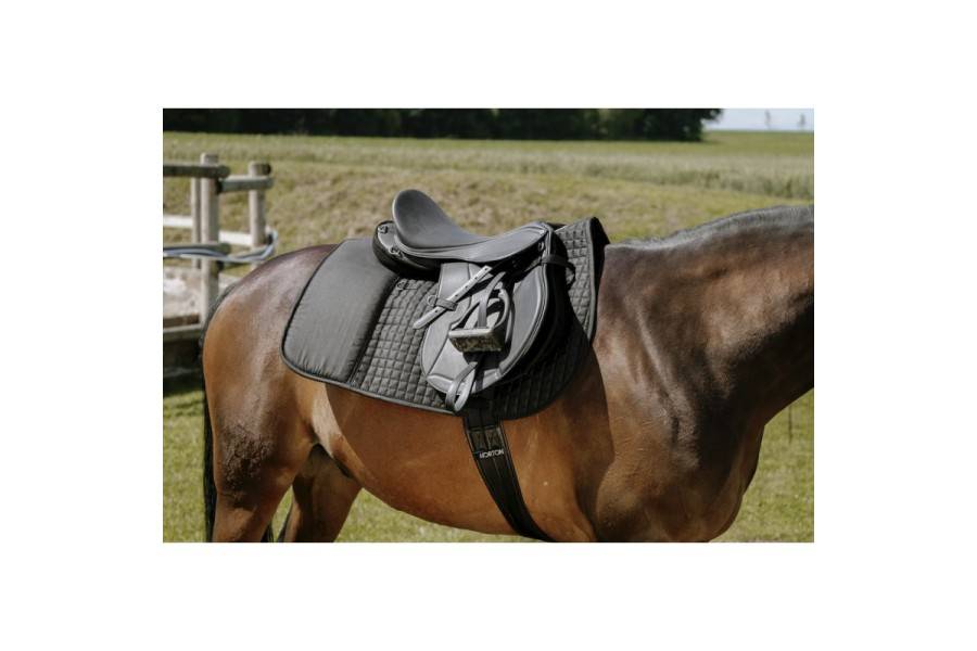 Suador Us General Randol's Confort Negre | Complements selles